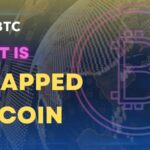 What is WBTC (Wrapped Bitcoin) What's the Difference between Bitcoin and WBTC