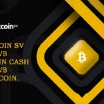 What Is Bitcoin SV (BSV) Bitcoin SV vs. Bitcoin Cash vs. Bitcoin.