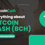 What's Bitcoin Cash (BCH), How Does it Work, and What's BCH used for