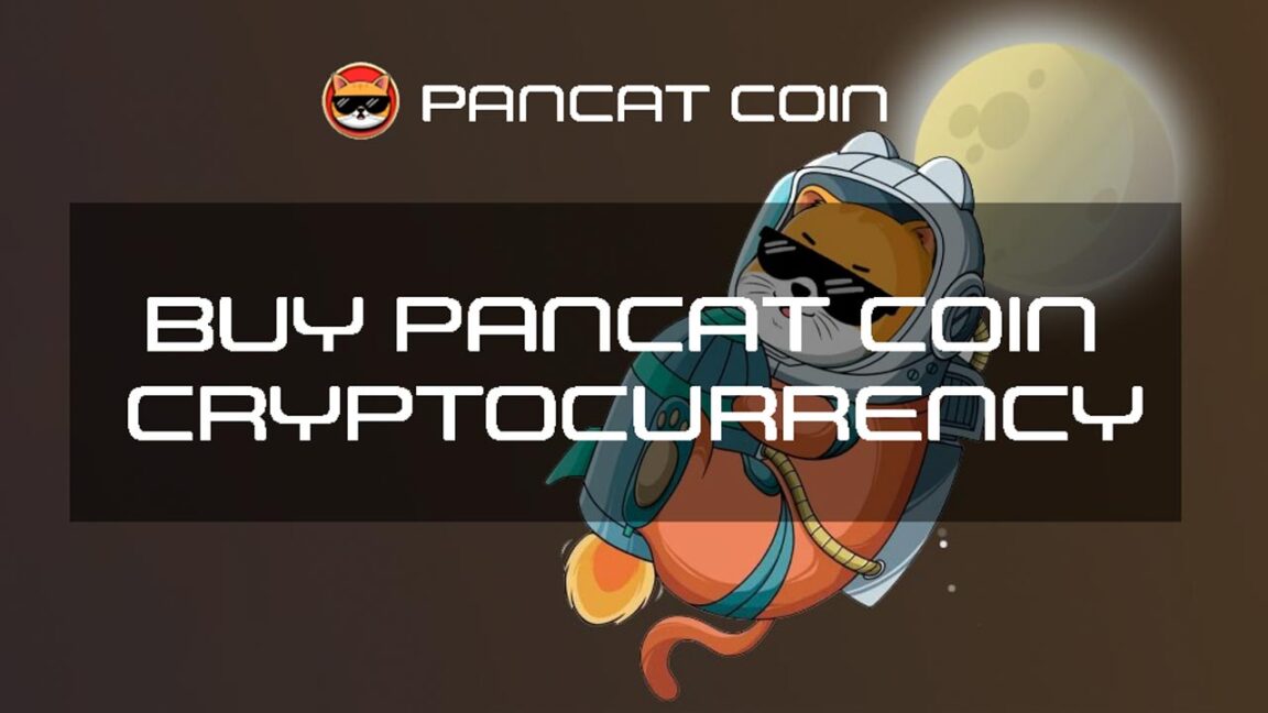 Buy Pancat Coin Cryptocurrency Is Pancat Coin a Good Investment