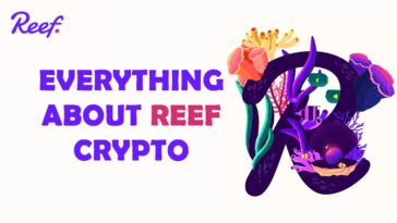 Reef Crypto Image