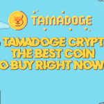 Tamadoge Crypto Coin Price Prediction Is it Best Coin to Buy in 2022