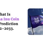 What Is Saitama Inu Coin - Saitama Inu Price Prediction 2022-2033