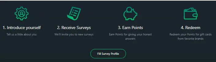 2. Earn Free Robux by Paid Surveys from EzPoints.