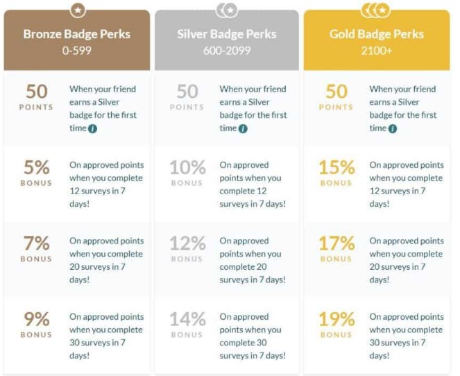 4. Make money through the Branded Surveys Branded Elite program.