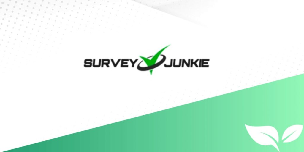 8. Earn Money Surfing The Web From Survey Junkie