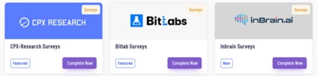 Make Money By BigCash Paid Survey